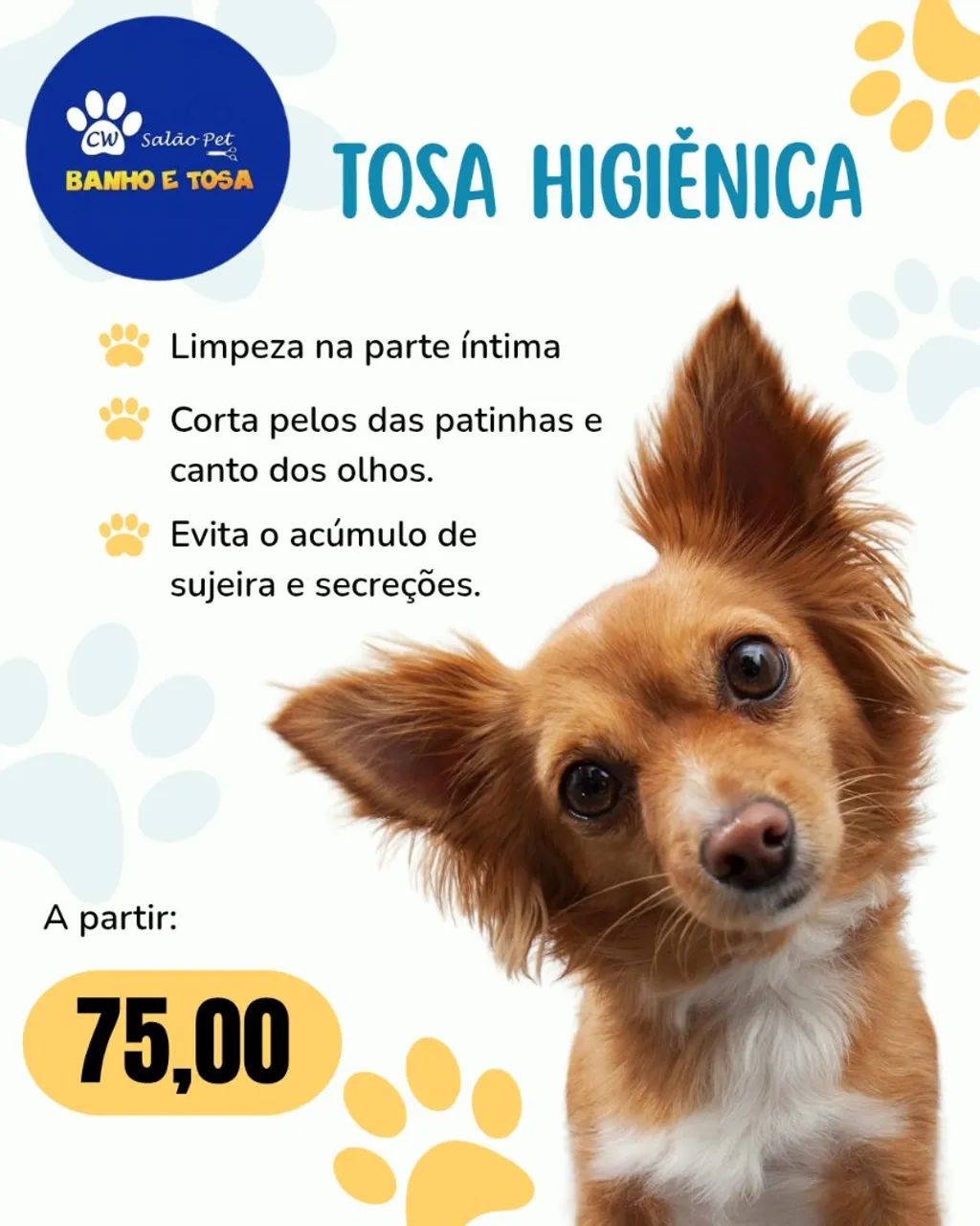 CW SALÃO PET - BANHO E TOSA - Foto 5
