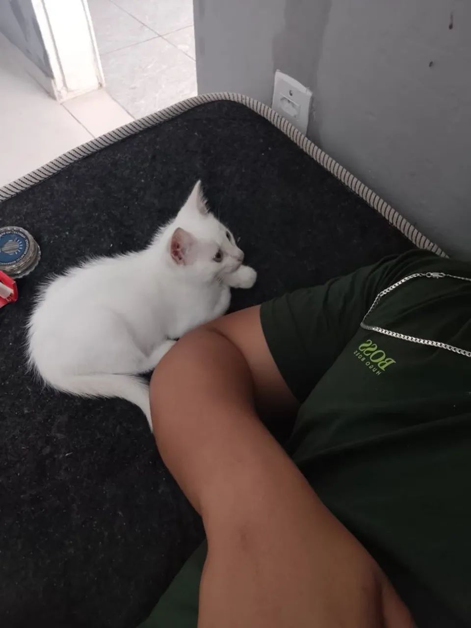 Gatinhos pra adoção  - Foto 2