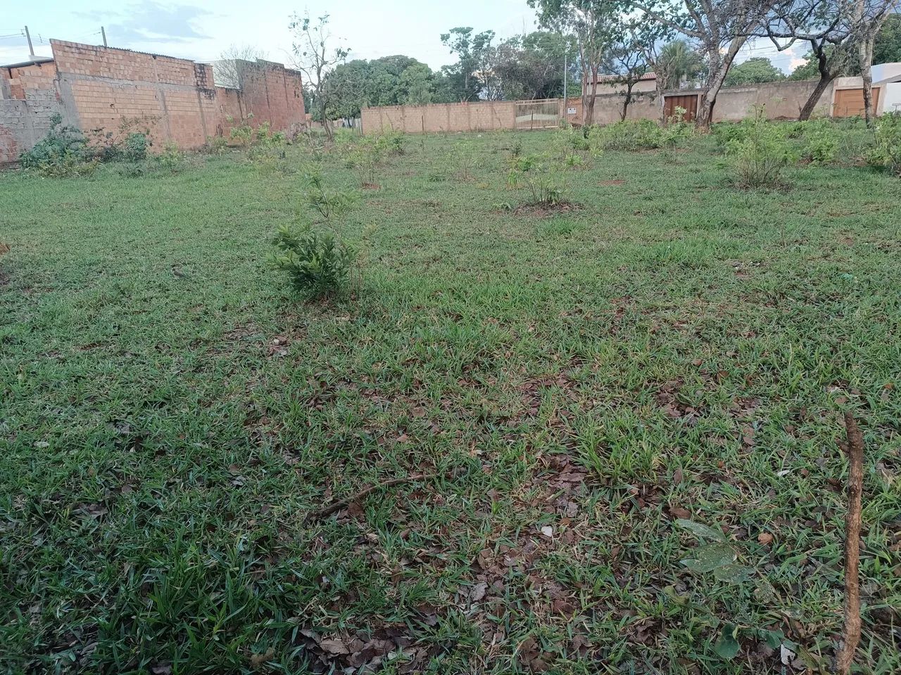 Chácara à venda no bairro morada Nova - Foto 3
