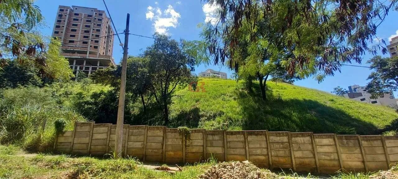 Lote à venda, Buritis - Belo Horizonte/MG - Foto 4