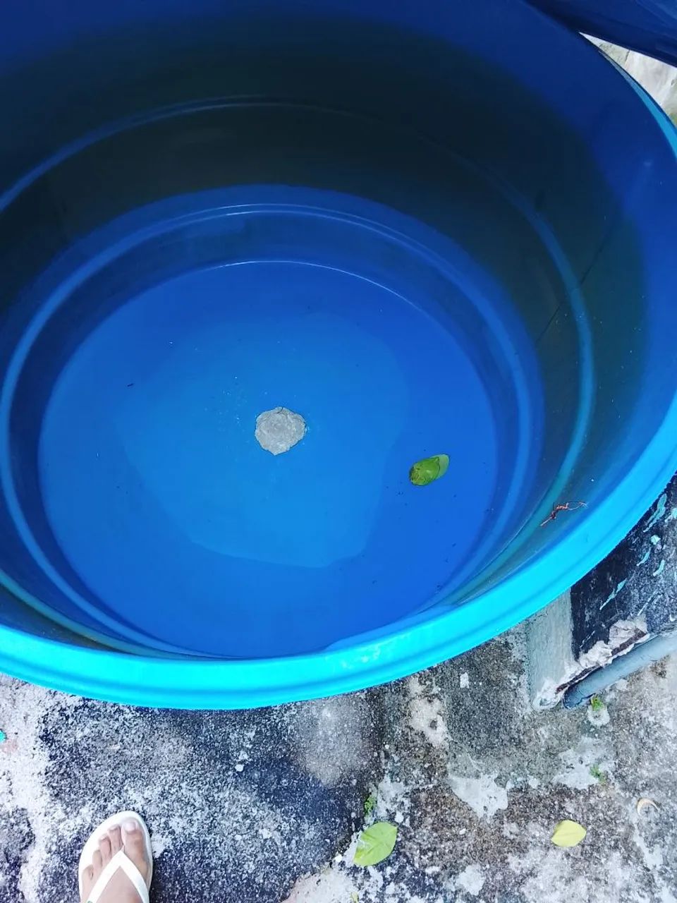 Venda de caixa d'água  - Foto 3