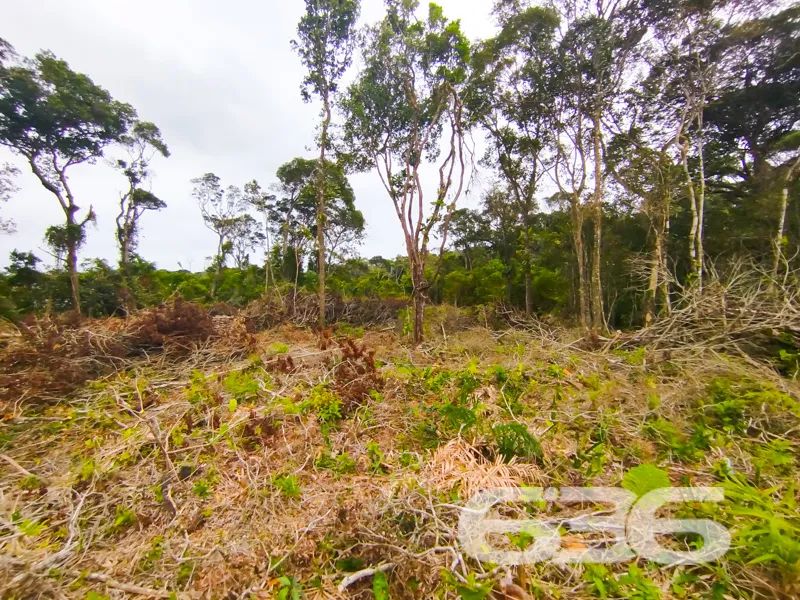 Terreno | São Francisco do Sul | Ervino - Foto 4
