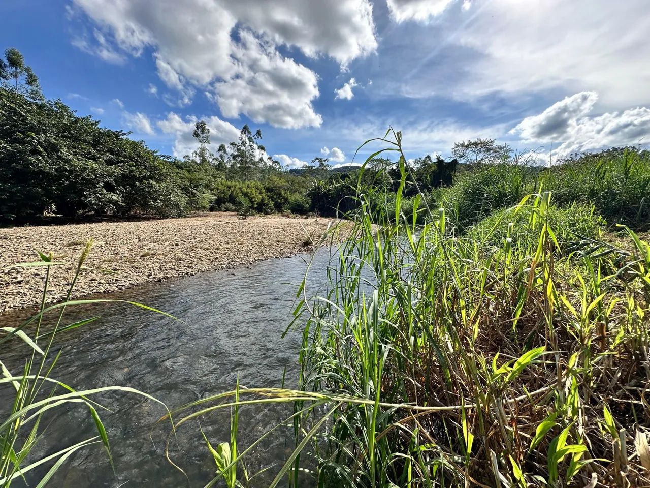 Terreno com fundos para o Ribeirão  - Foto 5