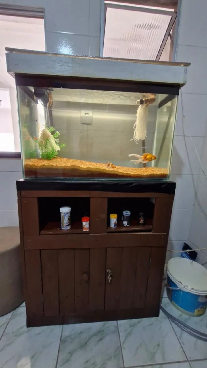 Aquário 140L COMPLETO - Foto 4