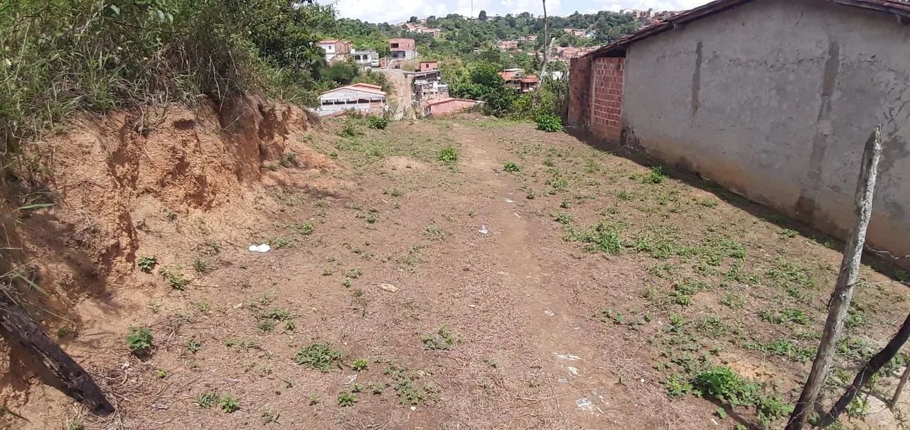 Terreno  - Foto 2