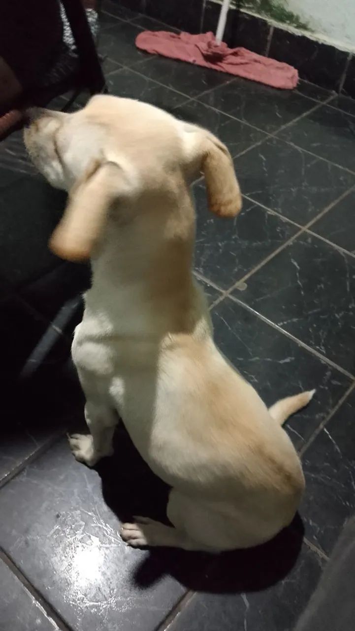 DOAÇÃO 