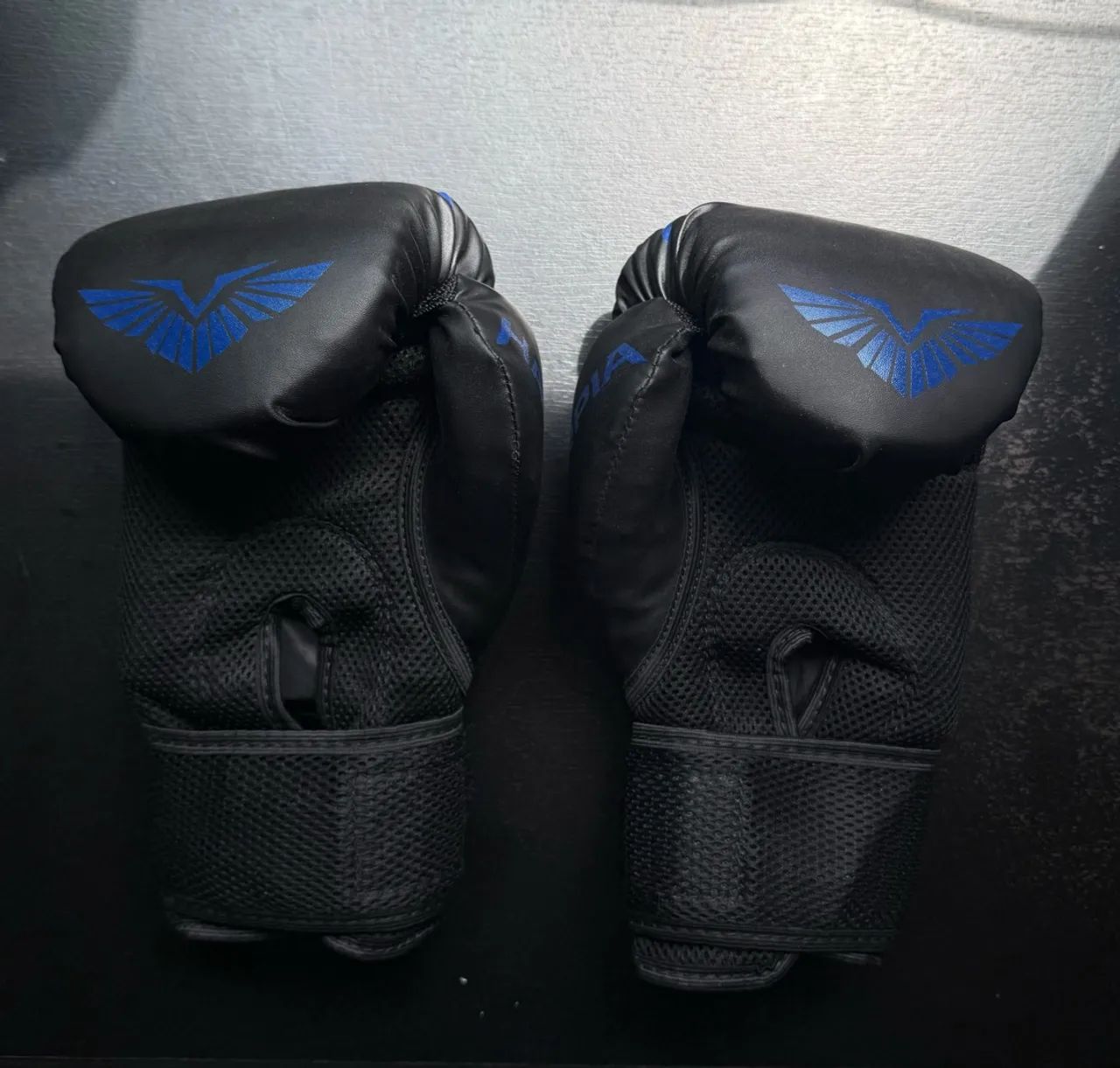 Kit Muay Thai - Luvas + Caneleiras  - Foto 2