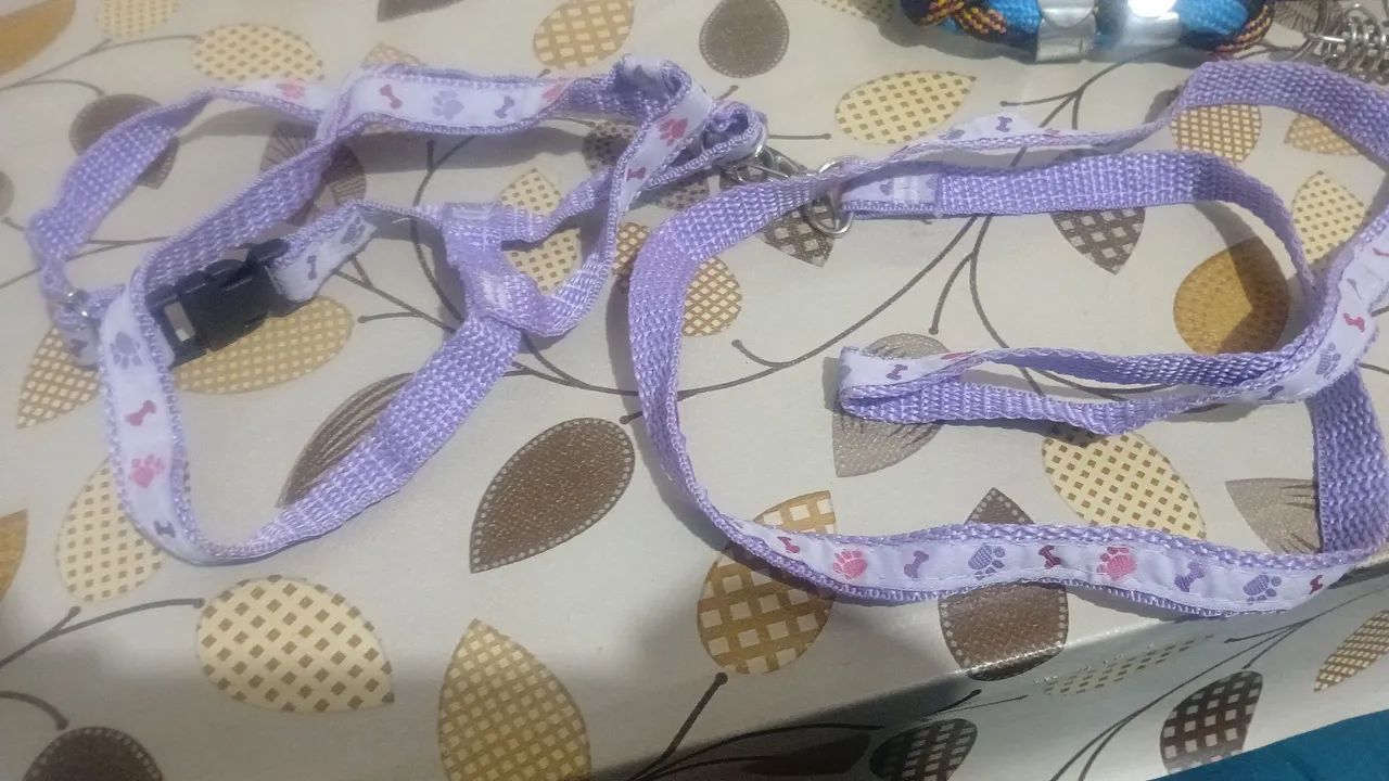 Pra cachorro - Foto 2