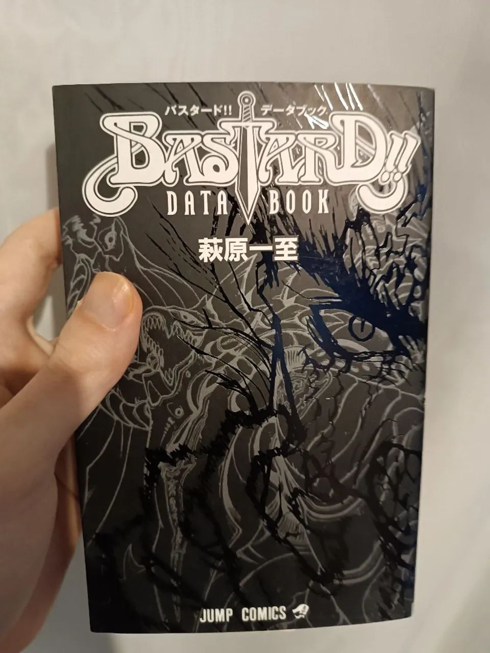 Bastard!! Databook