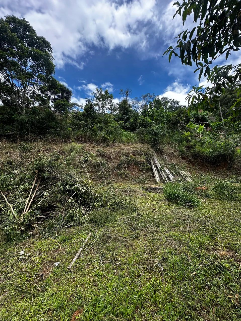 Foto - Teresópolis - Alto
