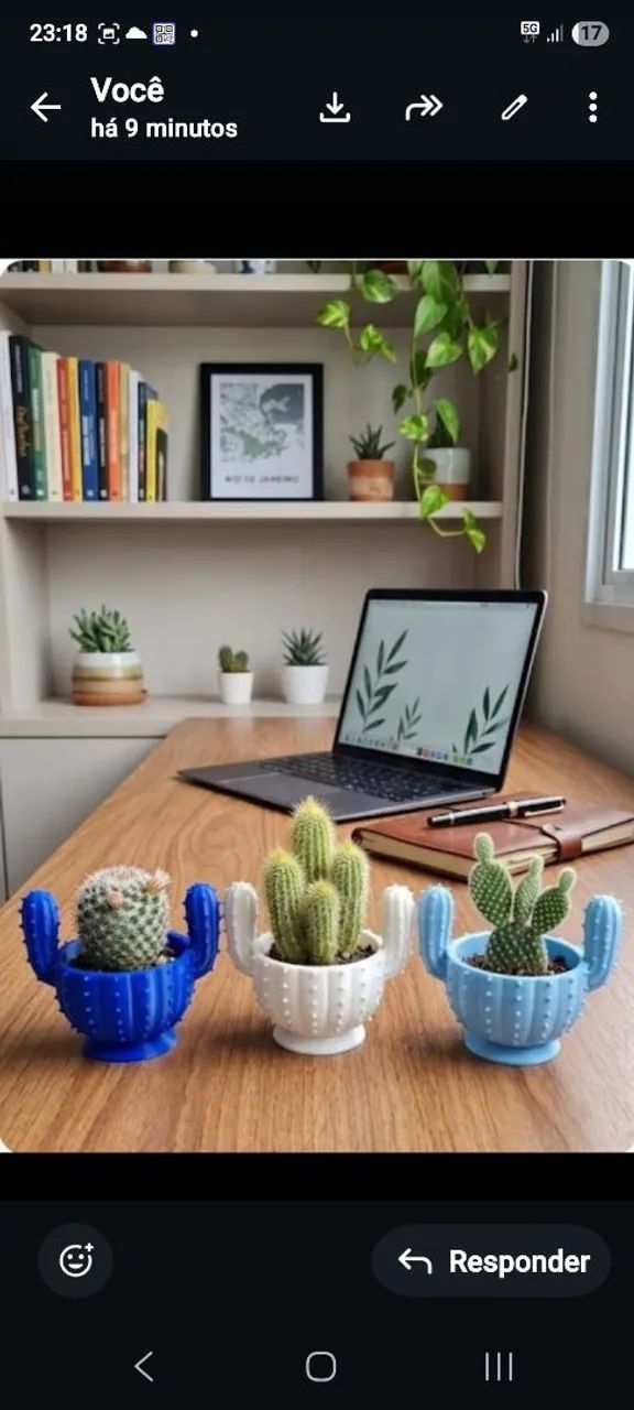 Vaso cacto em 3d - Foto 3