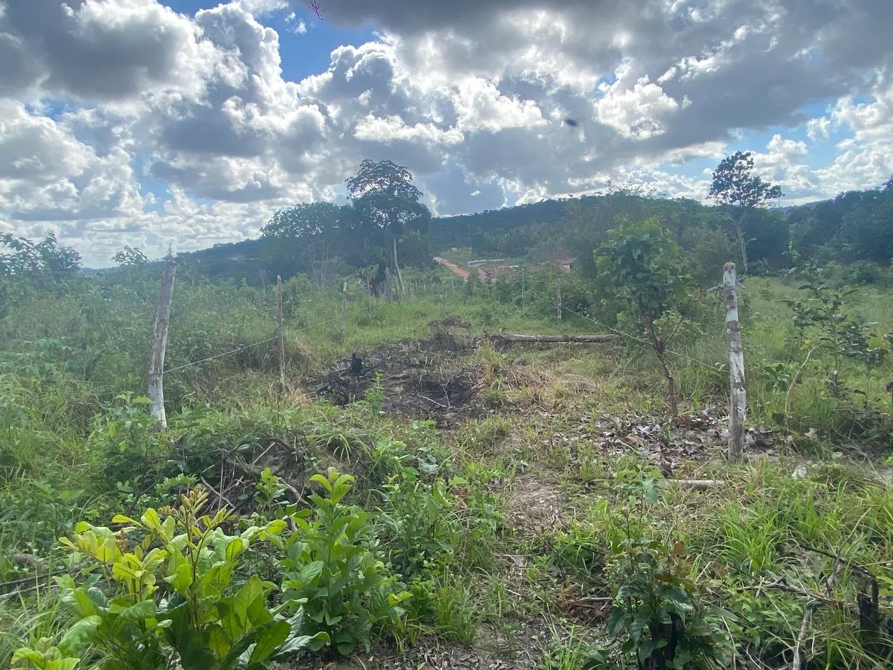 Terreno  - Foto 4