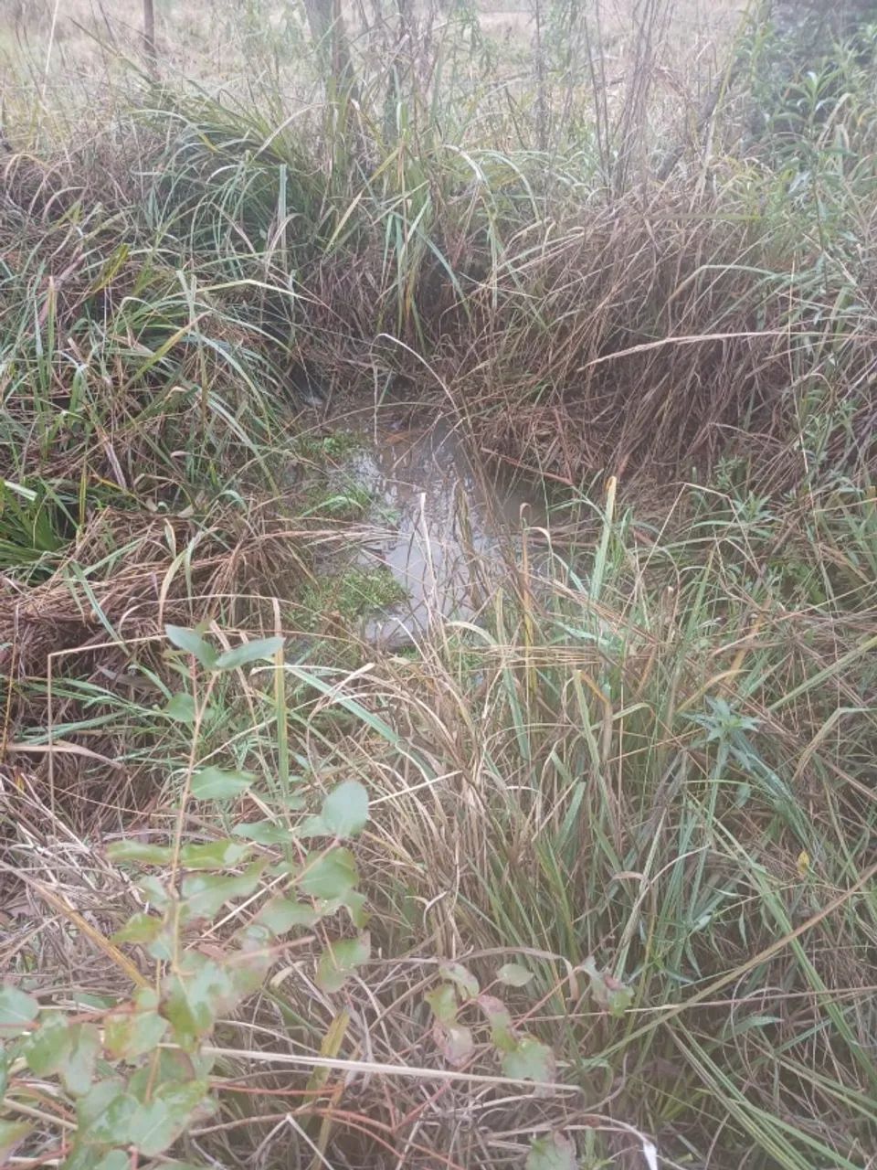 ? OPORTUNIDADE NA SERRA CATARINENSE ? - Foto 2