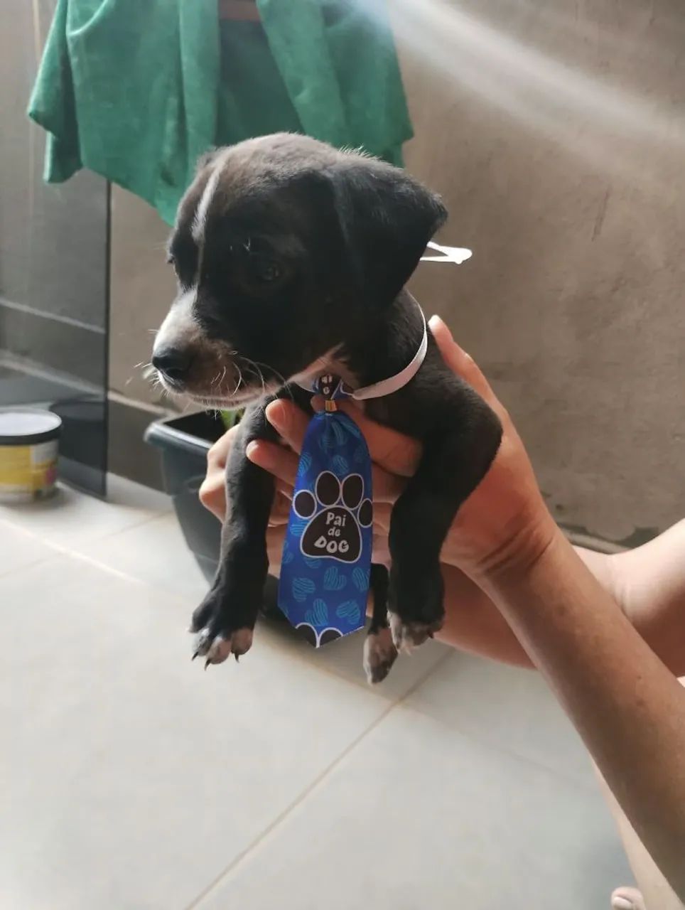 Doação  - Foto 2