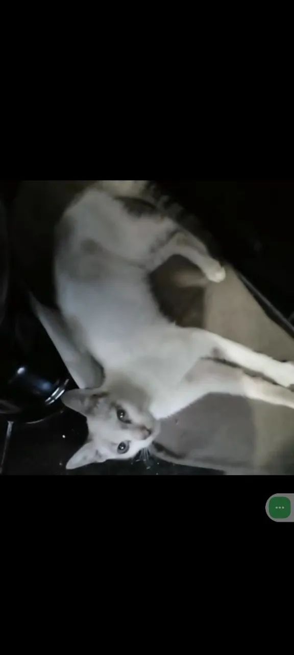 Abandonada  - Foto 4