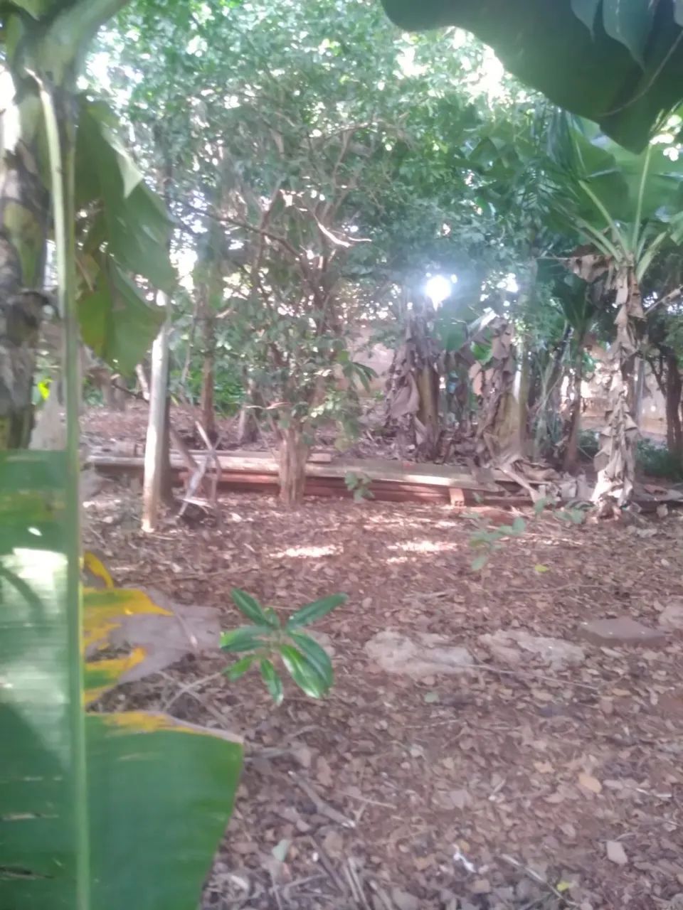 Terreno Barato Vila Popular  - Foto 3