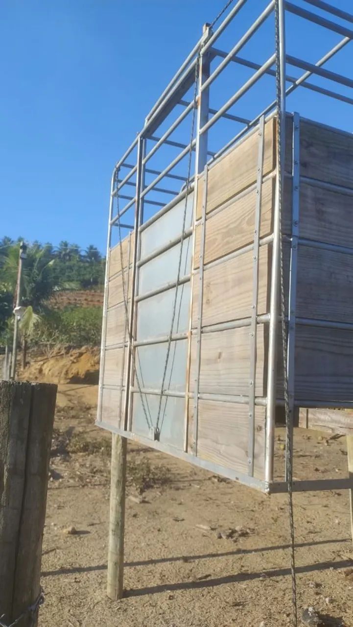 Gaiola boiadeira  - Foto 2