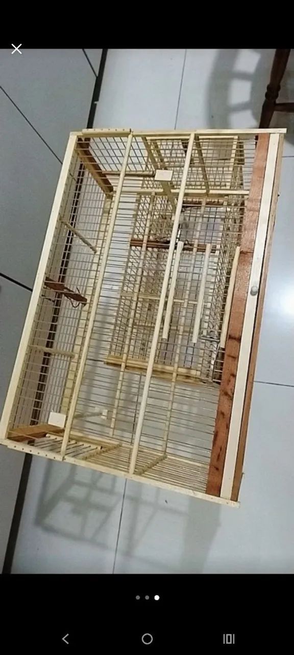 Gaiola voador nova