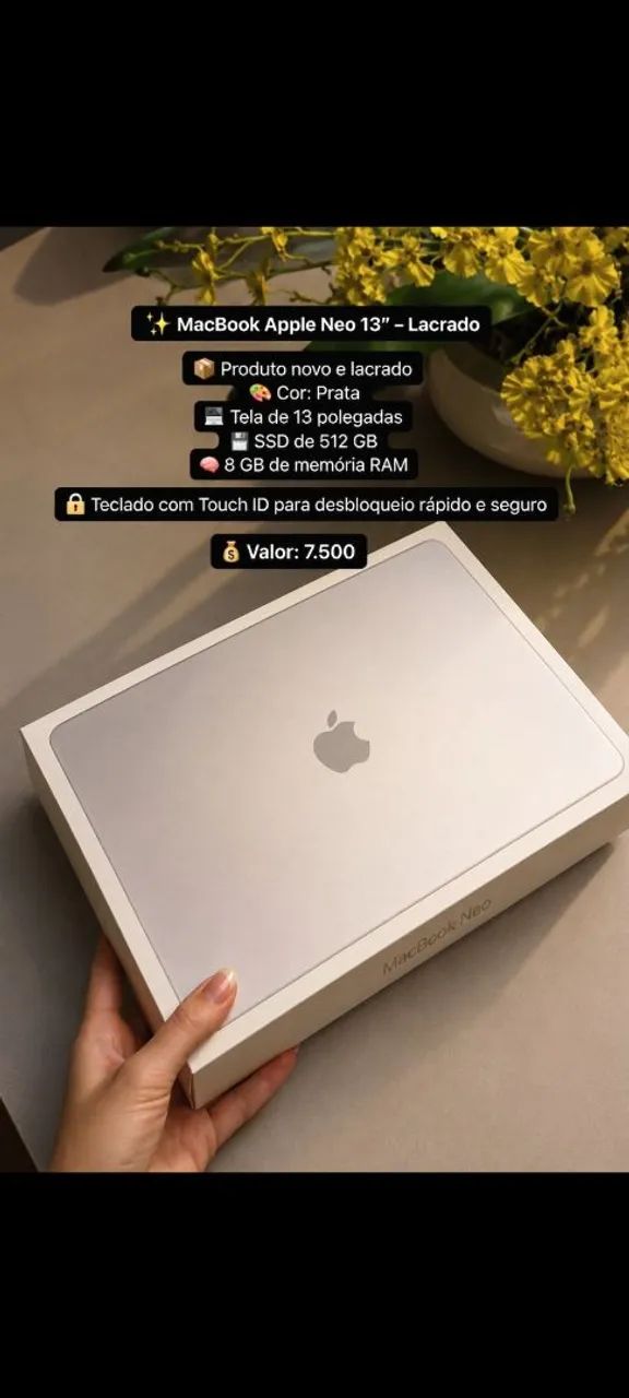 MacBook Apple Neo 13"- Lacrado
