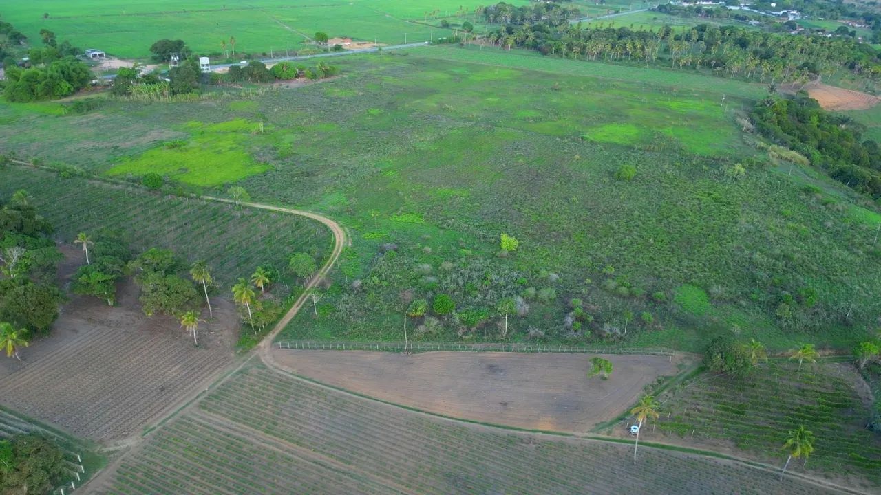 Granja com 21 hectares às margem da PB 036 - Foto 3