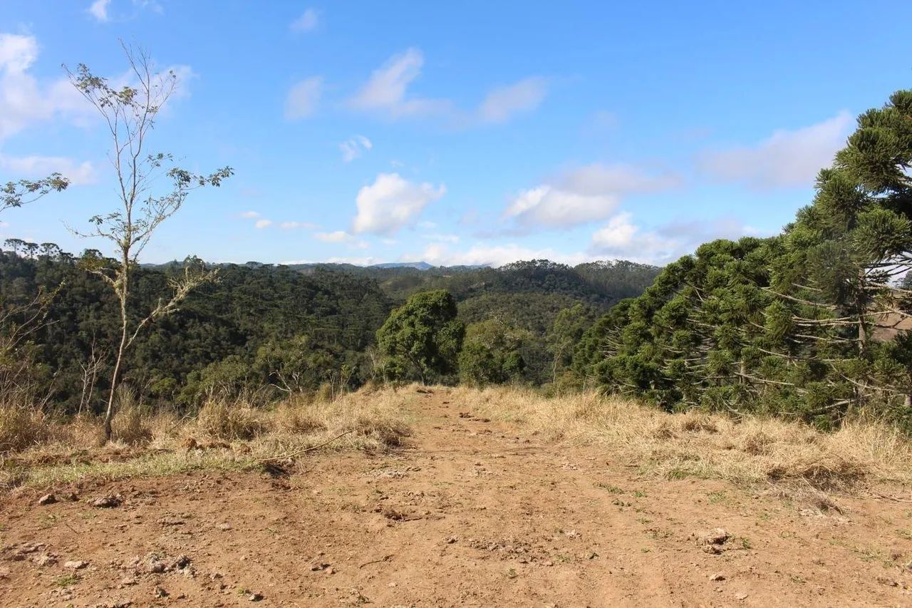 Sítio para Venda em Cunha, Paraibuna - Foto 4