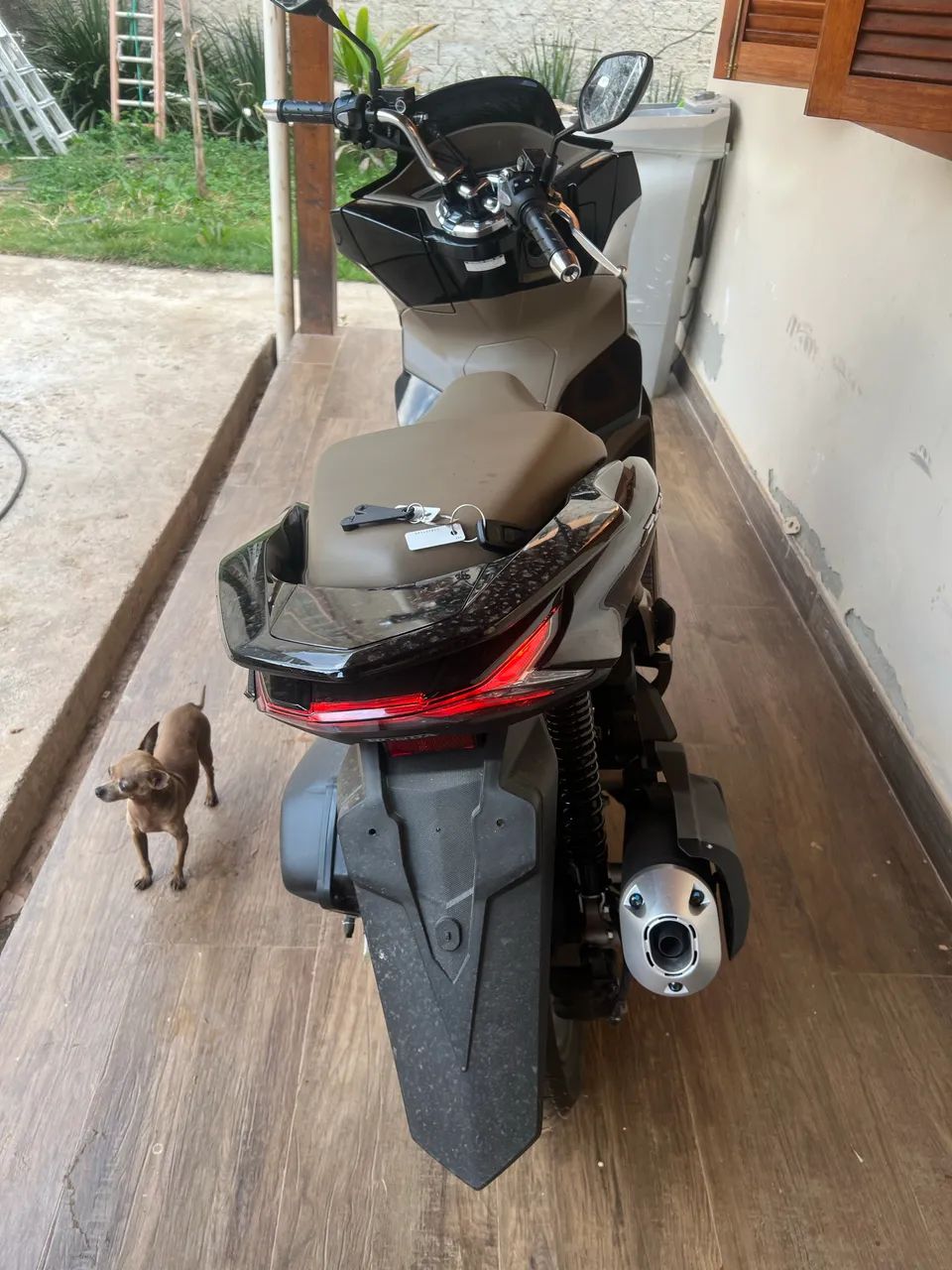 Pcx 2026 zero km - Foto 3