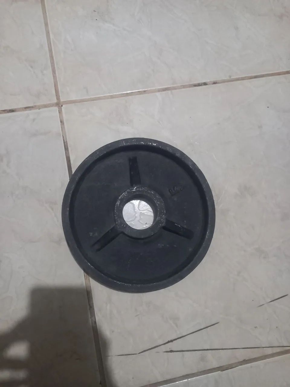 Anilha olimpica 5kg