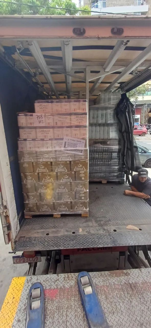 Chapa ajudantes de carga e descarga mudança  - Foto 4
