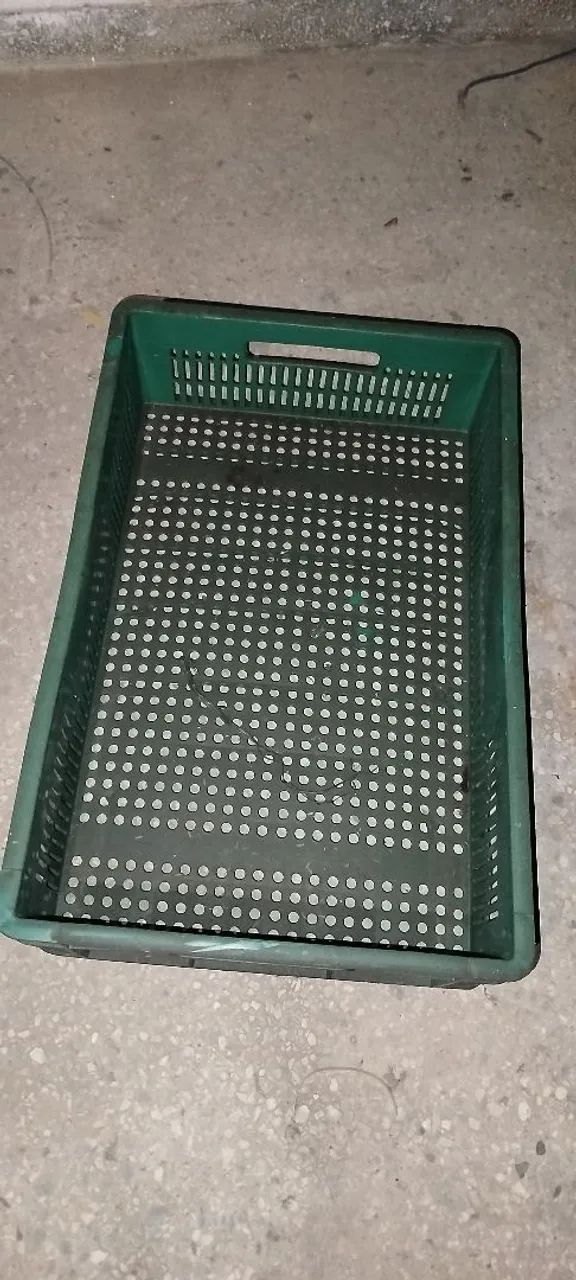Caixote organizador 
