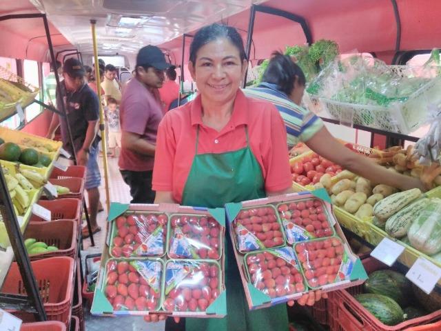 Ônibus Loja Hortifruti Móvel - Foto 4