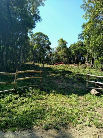 Chácara 10.000 m², Palermo Mandirituba por Apenas R$59.900,00