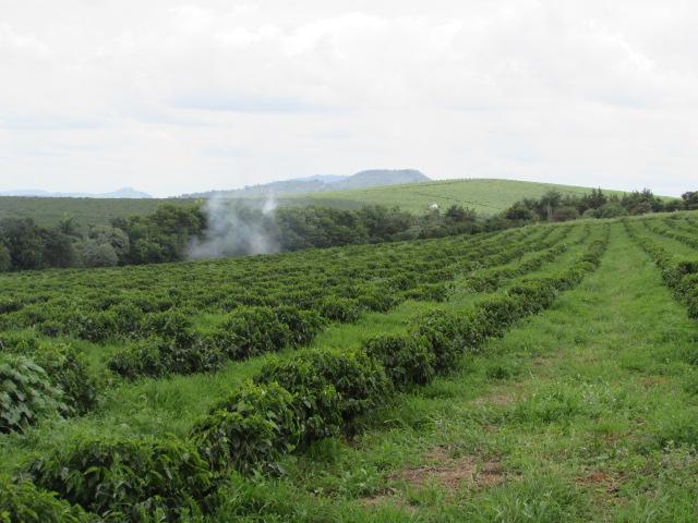 Fazenda para Venda em Alfenas, Rural - Foto 12