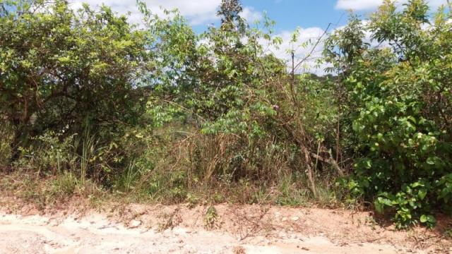 Terreno à venda em Residencial ilhéus, Juatuba cod:TE00019 - Foto 10
