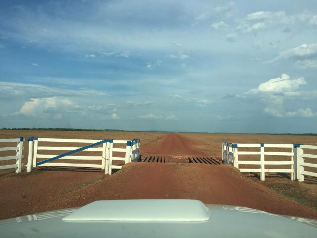 Arrendo 2.500 hectares prontos para plantio.
