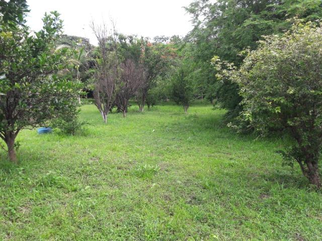 Vende-se uma chácara na beira do rio Cuiabá - Foto 12