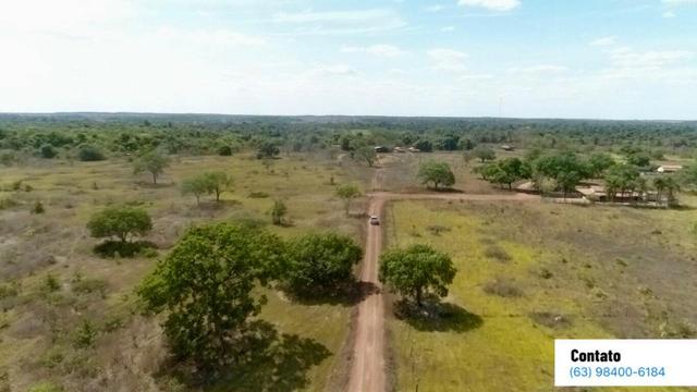 Fazenda no Tocantins