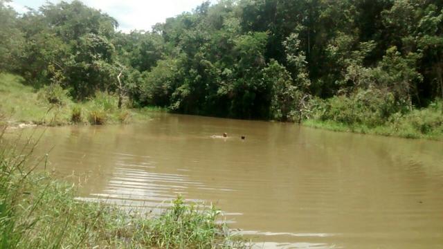 Lotes de 500 m2 em Esmeraldas/MG comunidade "Bambus"