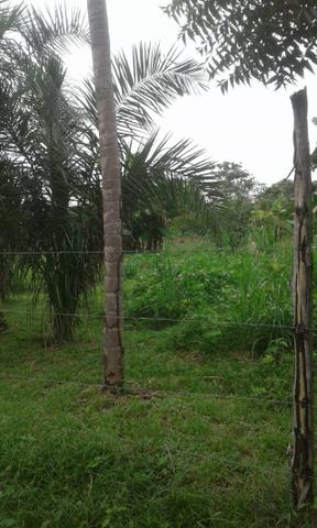 Vendo chácara no Valo Verde - Foto 10
