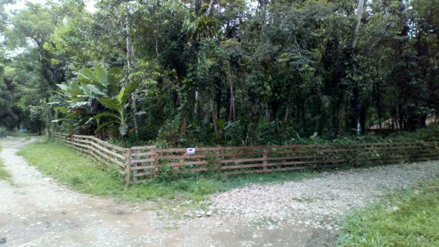 Terreno Quiriri - Foto 4