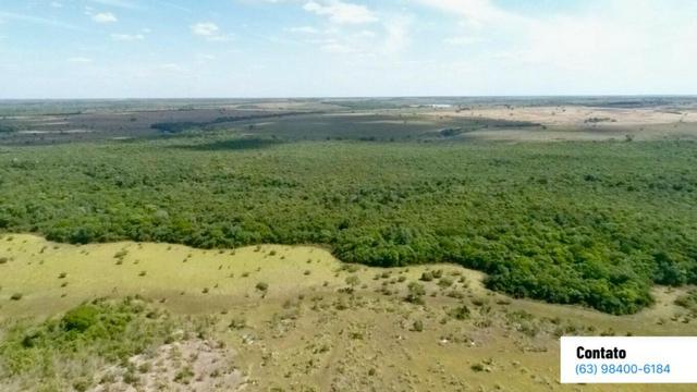 Fazenda no Tocantins - Foto 7