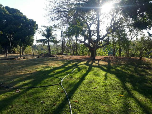 Sítio na Beira do Rio Próximo de Rosário - Foto 2
