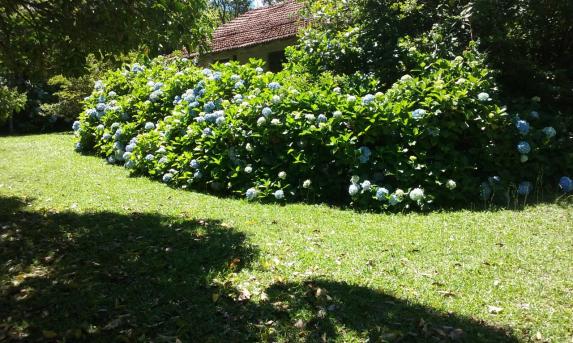 Chácara à venda em Cascata, Porto alegre cod:9915141 - Foto 12