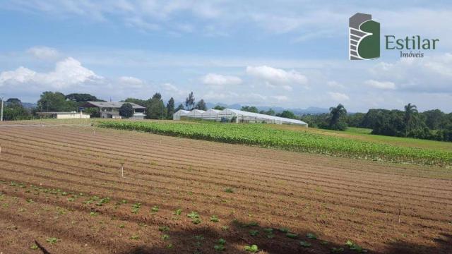 Terreno na colônia murici em são josé dos pinhais.