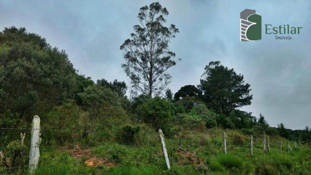 Chácara no curralinho em são josé dos pinhais. - Foto 16