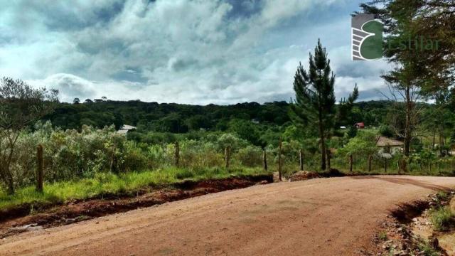 Chácara no curralinho em são josé dos pinhais. - Foto 5