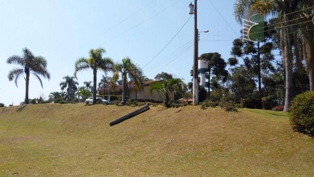 Chácara no campestre da faxina, são josé dos pinhais. - Foto 18
