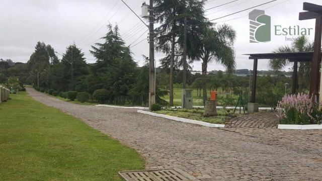 Terreno 15 minutos do centro de são josé dos pinhais. - Foto 2