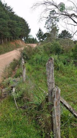 Chácara no curralinho em são josé dos pinhais. - Foto 15