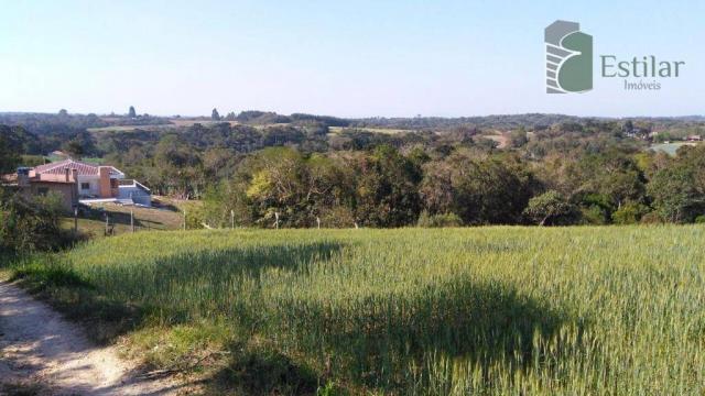 Chácara na faxina, são josé dos pinhais - ar0018. - Foto 10