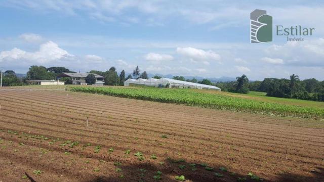 Terreno na colônia murici em são josé dos pinhais. - Foto 9
